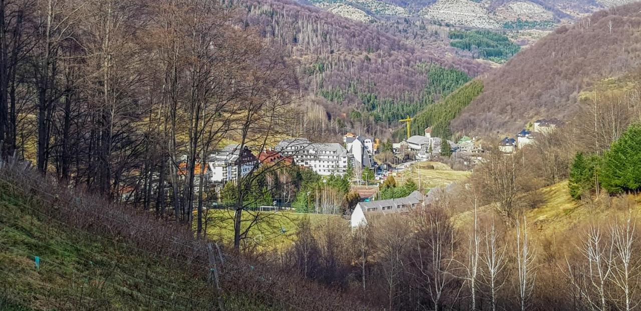 Apartman Cvejic - Suncani Apartmani Brzeće Exteriör bild